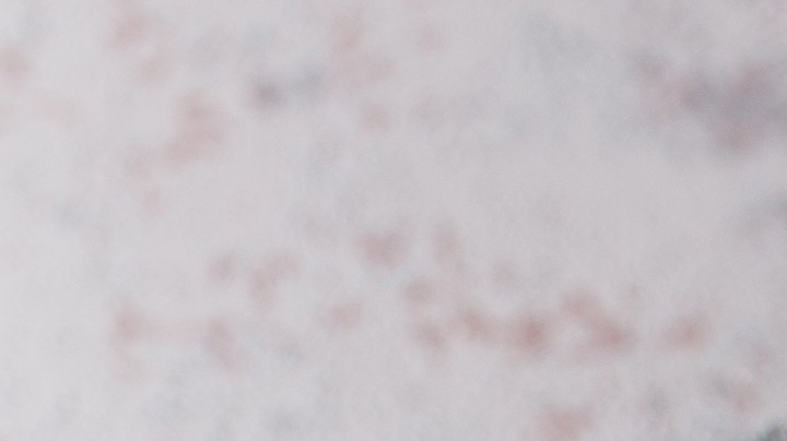 Muslos de pollo en salsa verde