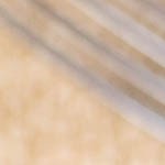 salteado de pollo con setas