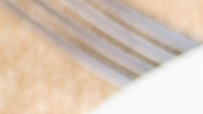 salteado de pollo con setas