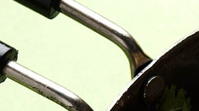 sartén con salteado de champiñones