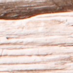 Muslos de pollo a la plancha con limón y ajo