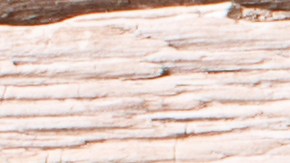 Muslos de pollo a la plancha con limón y ajo