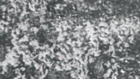 muslos de pollo estilo coreano con salsa gochujang