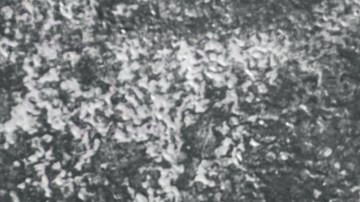 muslos de pollo estilo coreano con salsa gochujang