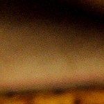 Muslos de pollo en salsa de mantequilla y ajo