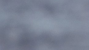 muffins de trigo sarraceno y verduras