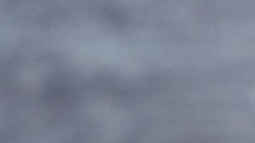 muffins de trigo sarraceno y verduras