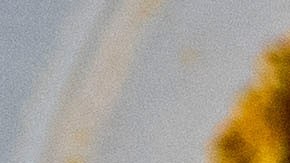 trigo sarraceno con verduras salteadas