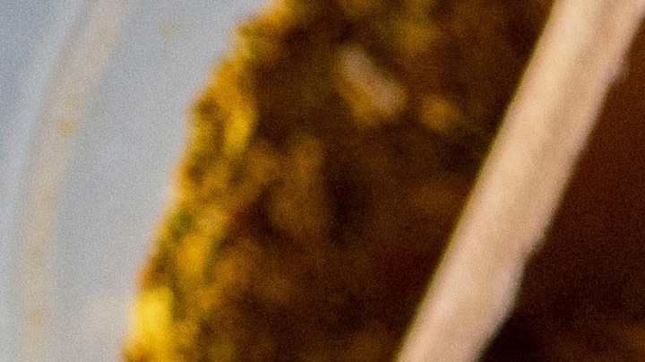 trigo sarraceno con verduras salteadas