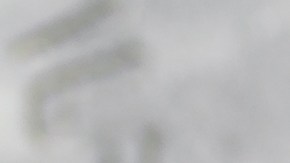 Muslos de pollo al chimichurri