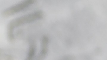 Muslos de pollo al chimichurri