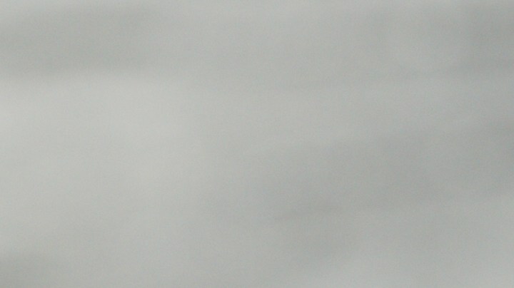 Muslos de pollo con salsa de piña