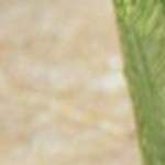 Tortitas de cilantro y queso manchego