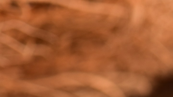 Flan de coco y piña