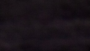 Flan de leche condensada