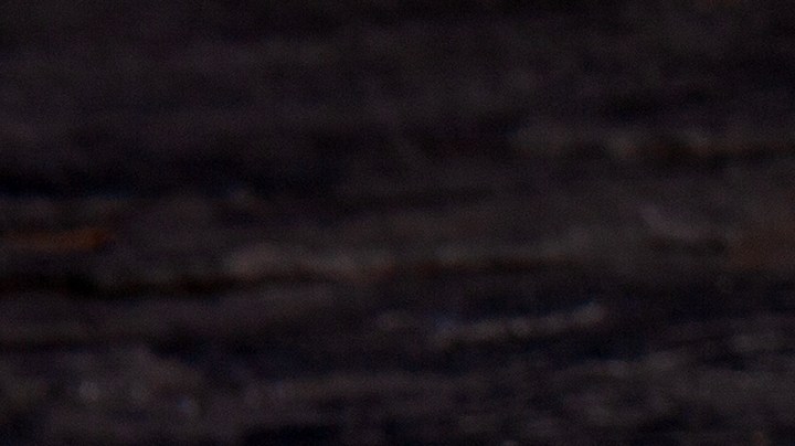 Flan de leche condensada