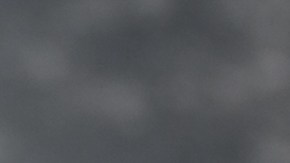 Muslos de pollo con chimichurri de cilantro