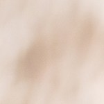 Muslos de pollo con salsa de cacahuate