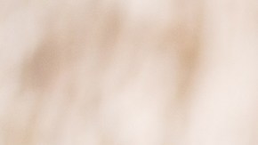 Muslos de pollo con salsa de cacahuate