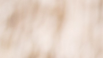 Muslos de pollo con salsa de cacahuate