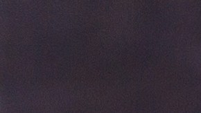 Muslos de pollo con salsa de ciruela