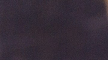 Muslos de pollo con salsa de ciruela