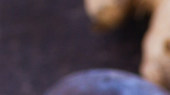 Muslos de pollo con salsa de ciruela