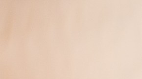 Muslos de pollo con salsa de sésamo y miel