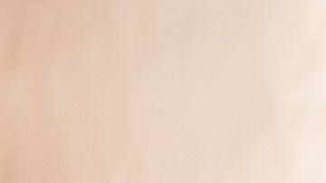 Muslos de pollo con salsa de sésamo y miel