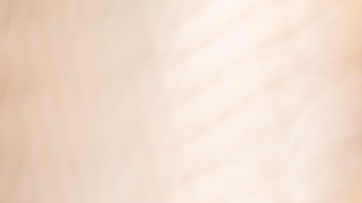 Muslos de pollo con salsa de sésamo y miel