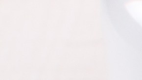 Muslos de pollo con salsa de tomate y albahaca