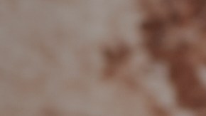 Muslos de pollo empanizados con panko