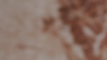 Muslos de pollo empanizados con panko