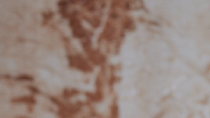 Muslos de pollo empanizados con panko