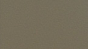 Muslos de pollo en salsa de ají amarillo