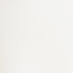 Muslos de pollo en salsa de mango y coco