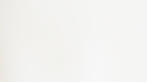 Muslos de pollo en salsa de mango y coco