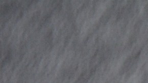 Muslos de pollo en salsa de tamarindo