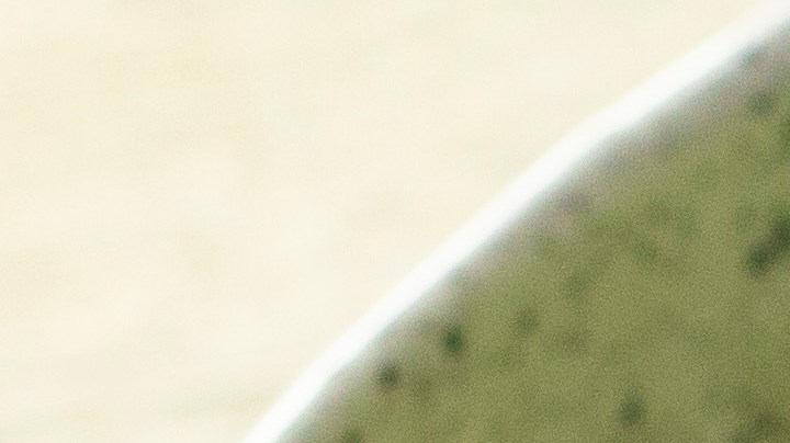 Aderezos refrescantes para ensaladas