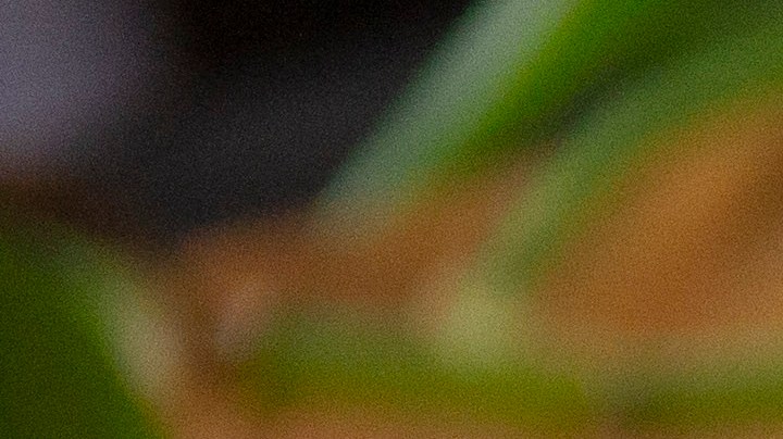 mermeladas sin azúcar