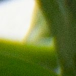 caritas de croqueta de papa