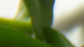 caritas de croqueta de papa