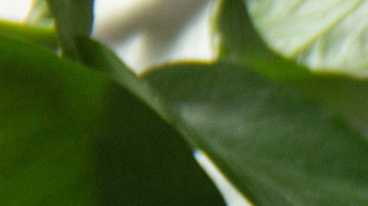 caritas de croqueta de papa