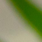 Tortitas de espinacas con queso