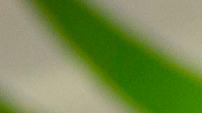 Tortitas de espinacas con queso