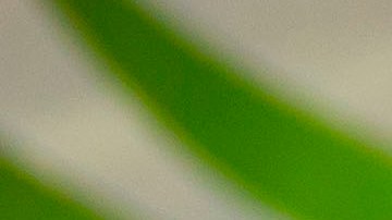 Tortitas de espinacas con queso