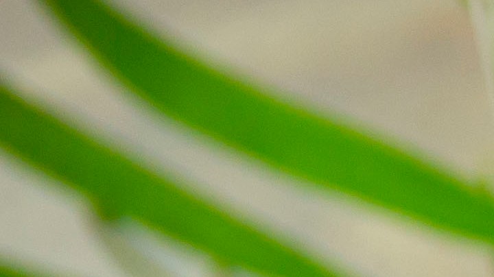 Tortitas de espinacas con queso