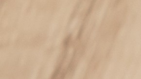 ensalada de palmitos con tomate y maiz