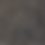 Estofado de carne con setas y pimientos