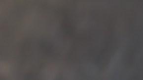 Estofado de carne con setas y pimientos